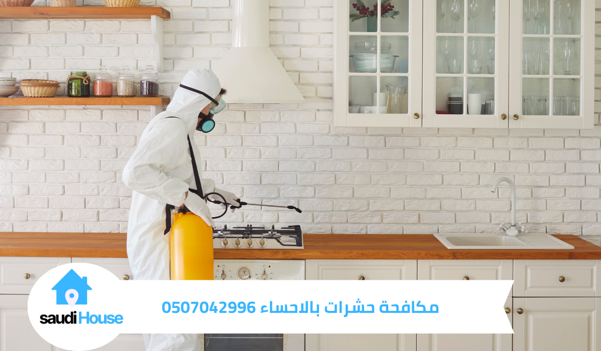 مكافحة حشرات بالاحساء
